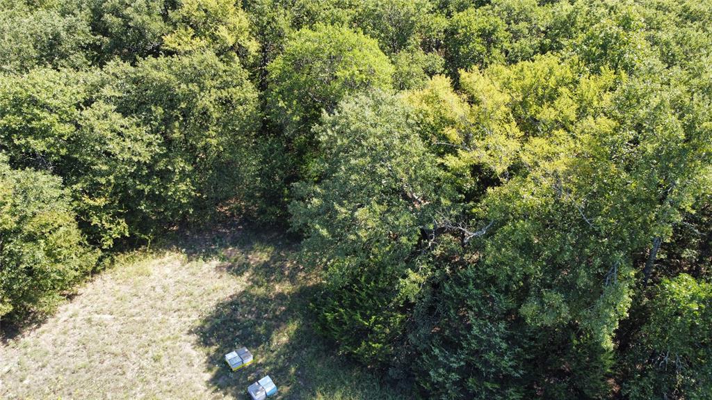 Tbd County Road 208 Property Photo 11