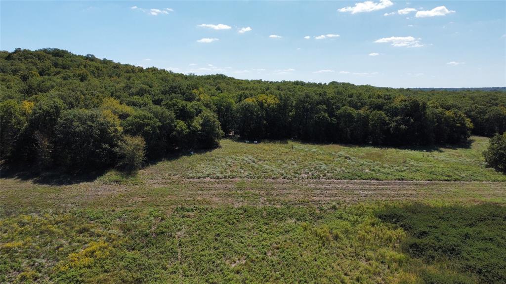 Tbd County Road 208 Property Photo 14