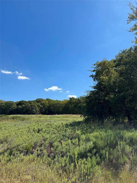 Tbd County Road 208 Property Photo 19
