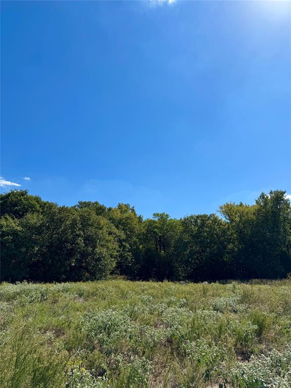Tbd County Road 208 Property Photo 20