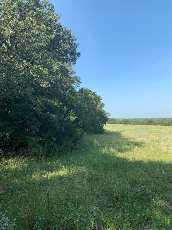Tbd County Road 208 Property Photo 26