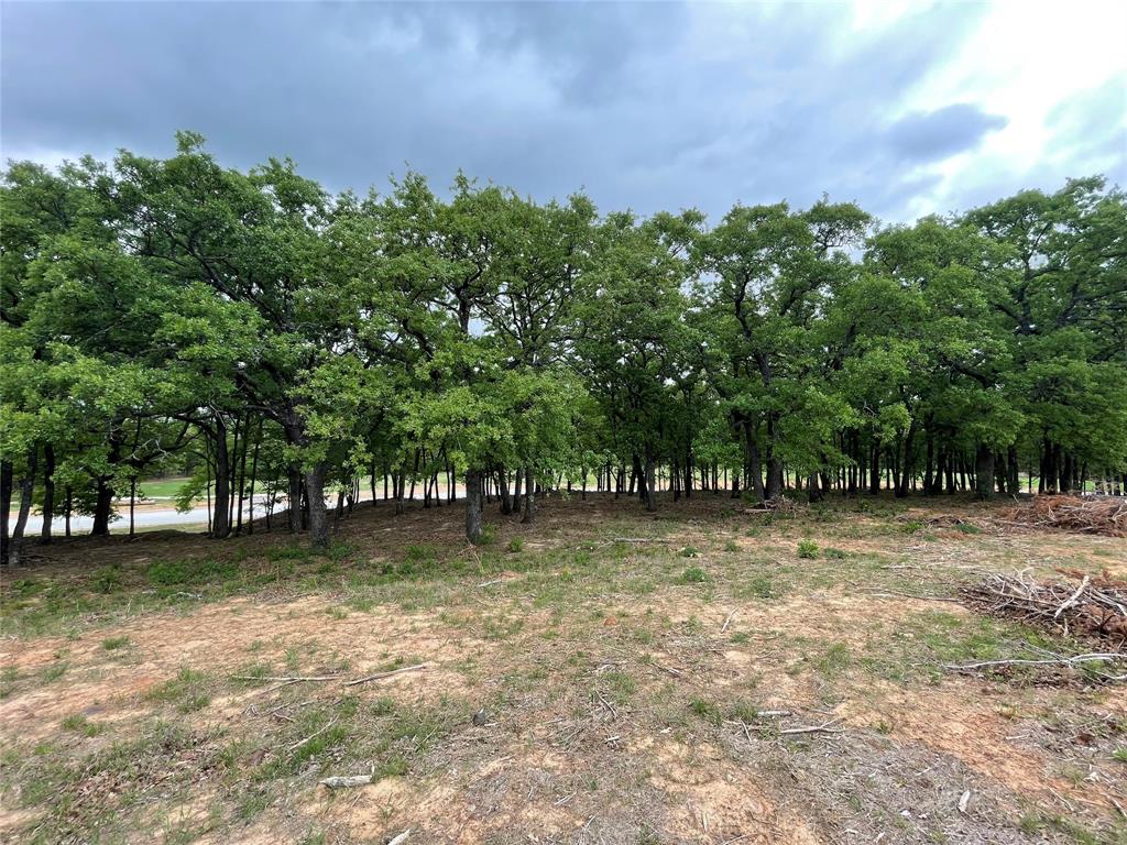 Tbd County Road 208 Property Photo 29