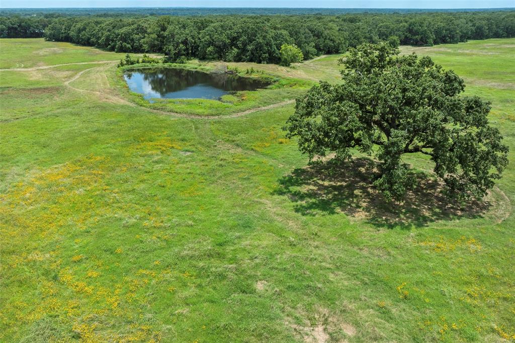 9830 County Road 4028 Property Photo 1
