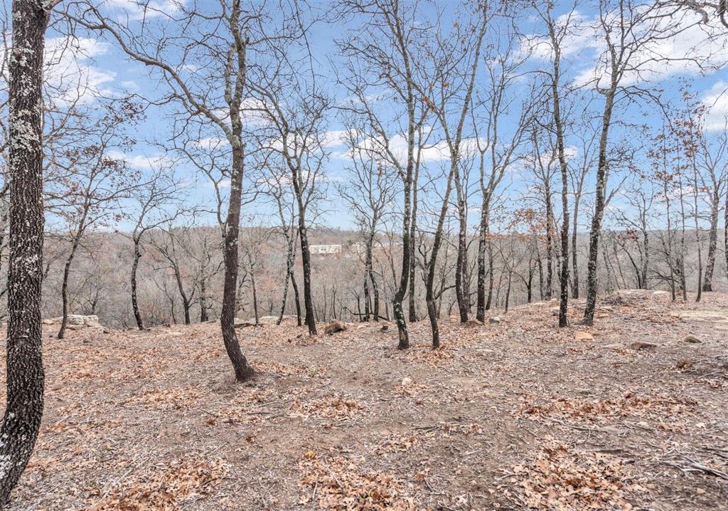 502 Silver Ridge Court Property Photo 29