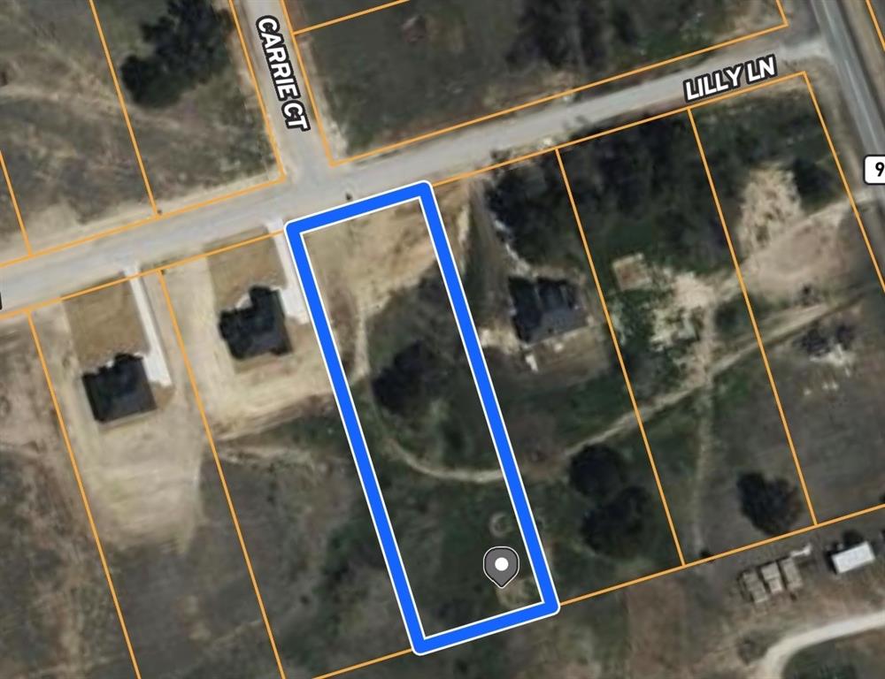 1013 Lilly Lane Property Photo 3