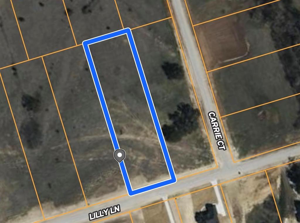 1020 Lilly Lane Property Photo 3