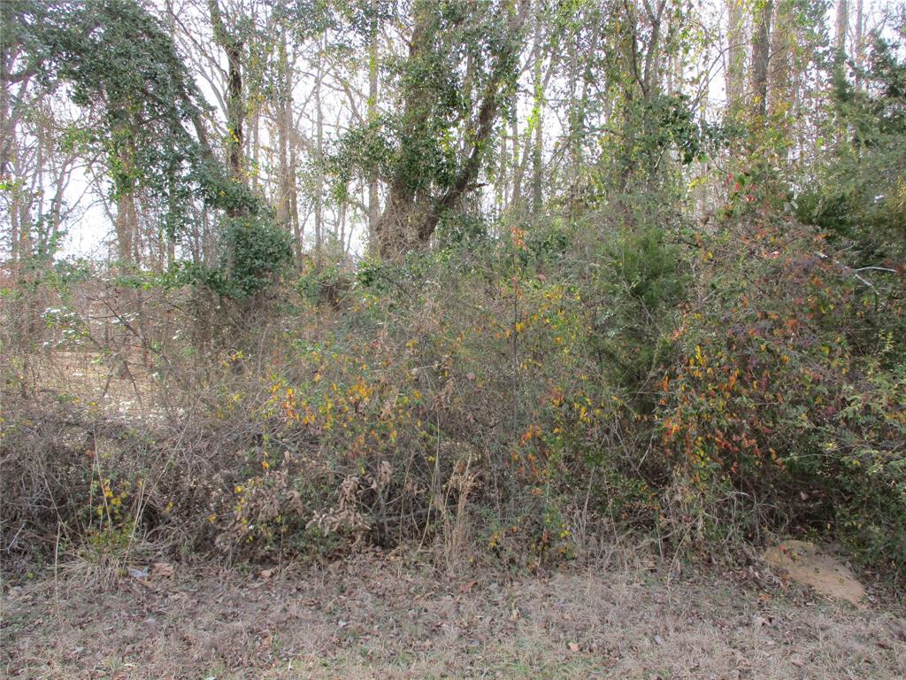 Tbd Wood County Road 2958 Property Photo 1