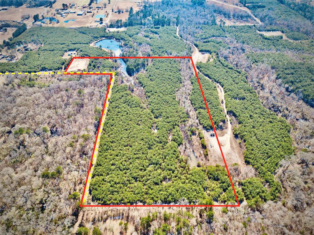 0 Stonewall Frierson Road Property Photo 1