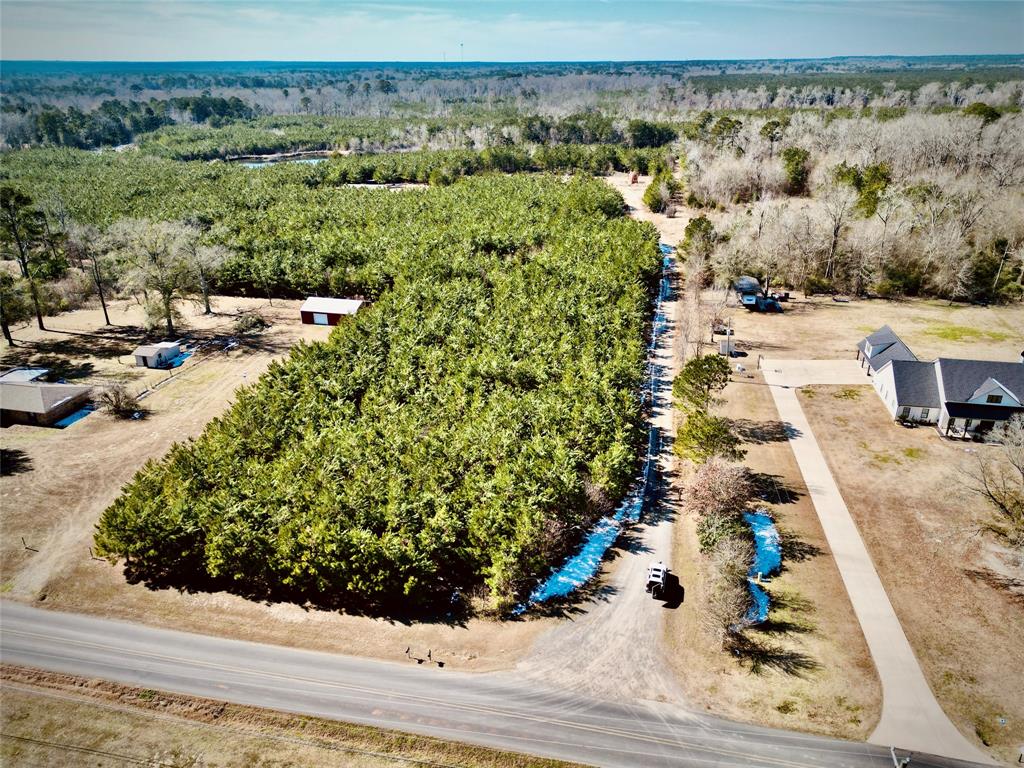 0 Stonewall Frierson Road Property Photo 3