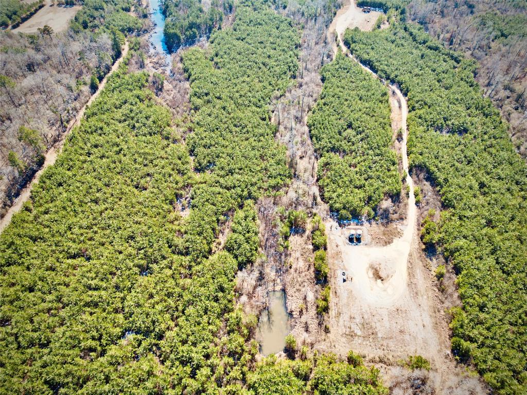 0 Stonewall Frierson Road Property Photo 13
