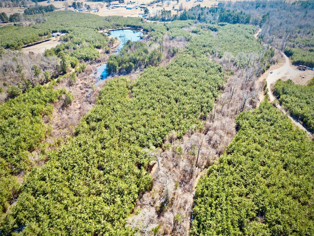 0 Stonewall Frierson Road Property Photo 14