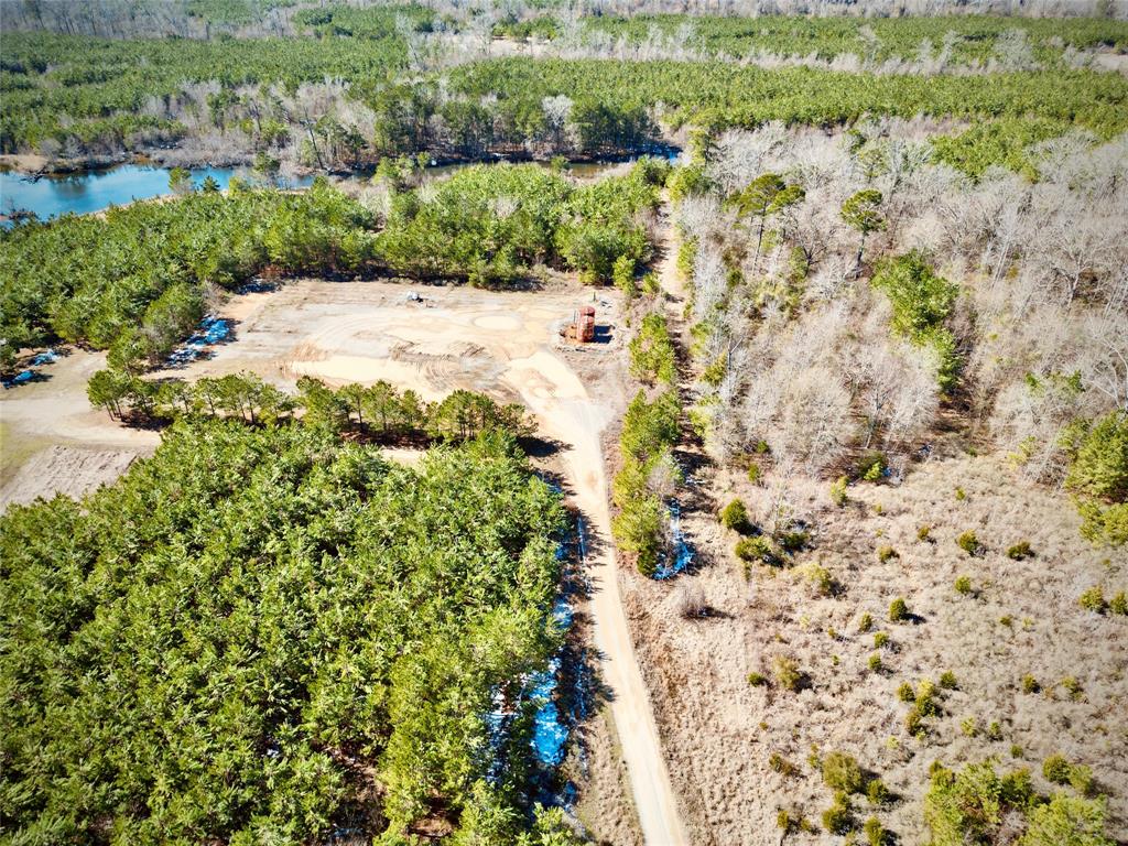 0 Stonewall Frierson Road Property Photo 15