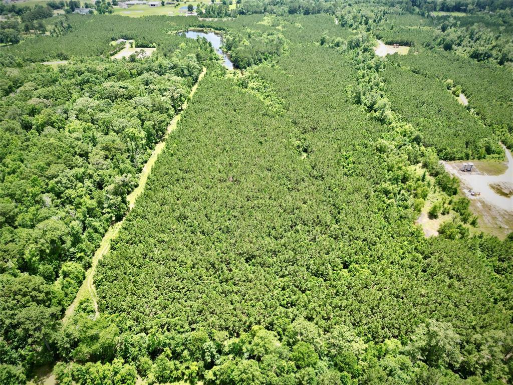 0 Stonewall Frierson Road Property Photo 16