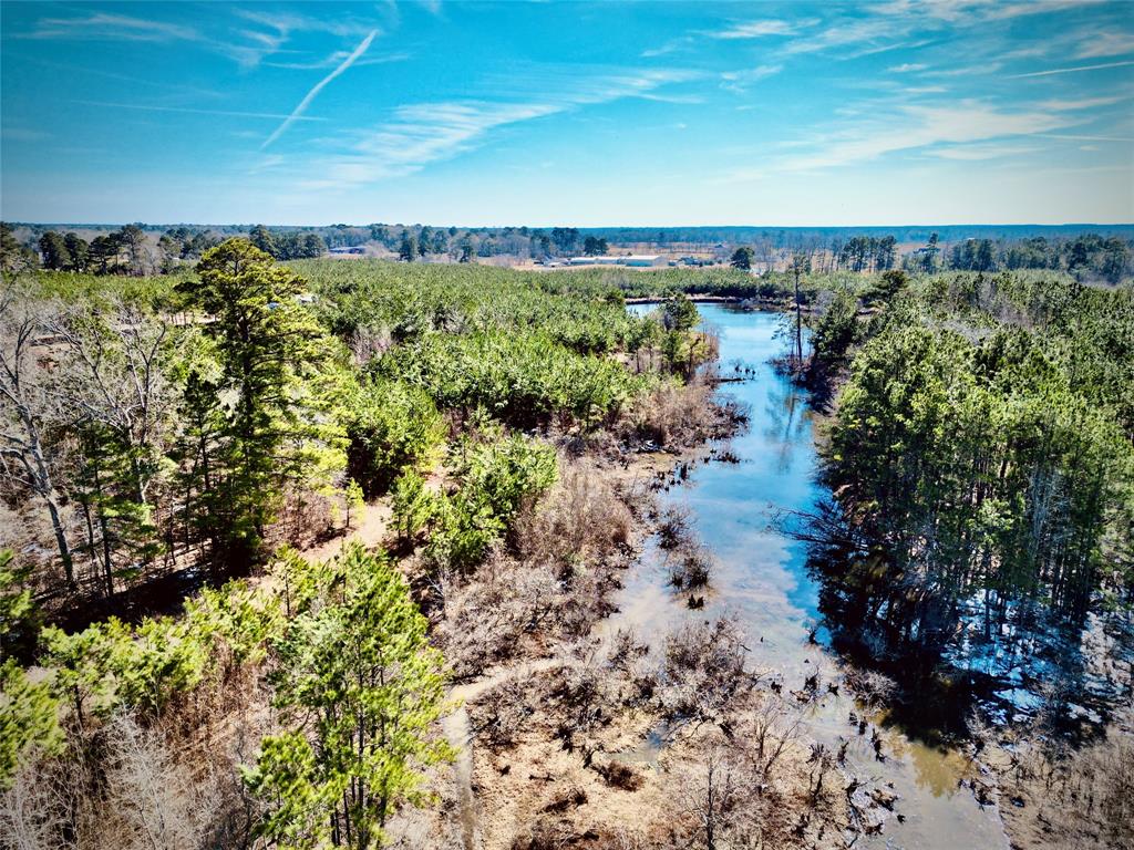 0 Stonewall Frierson Road Property Photo 17