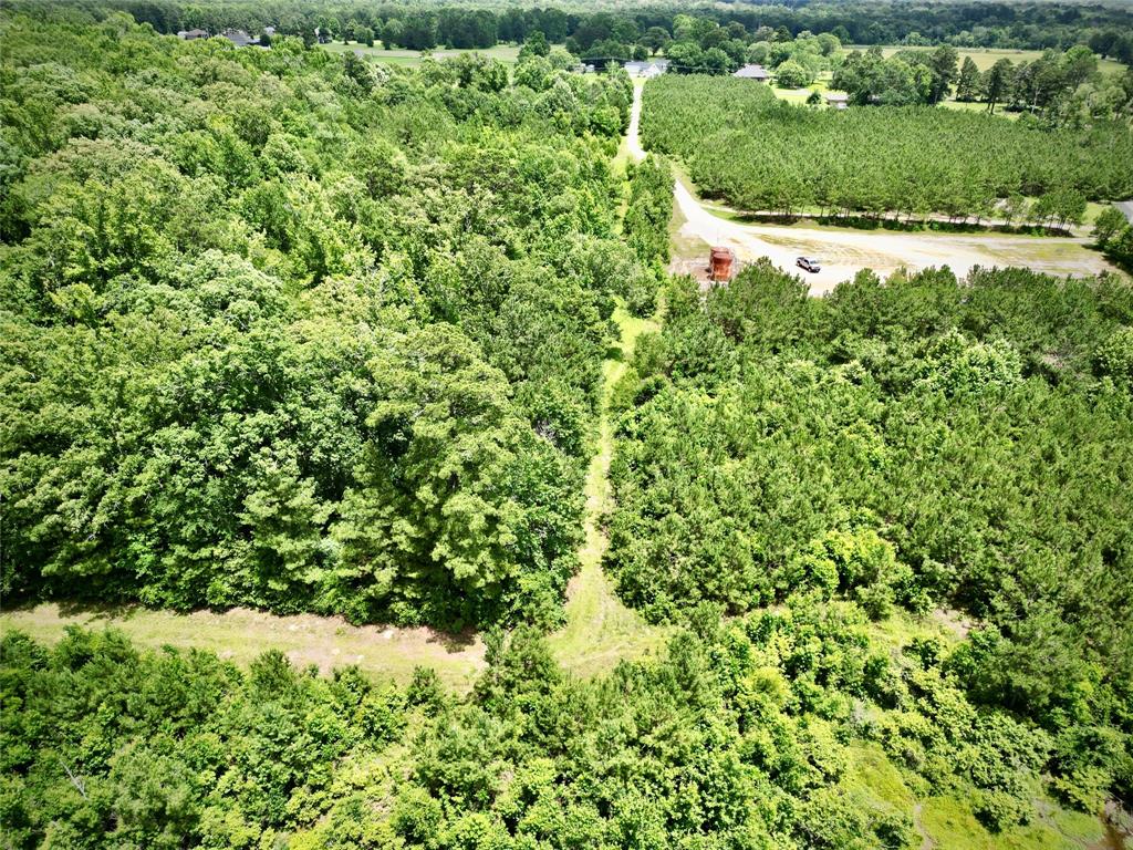 0 Stonewall Frierson Road Property Photo 19