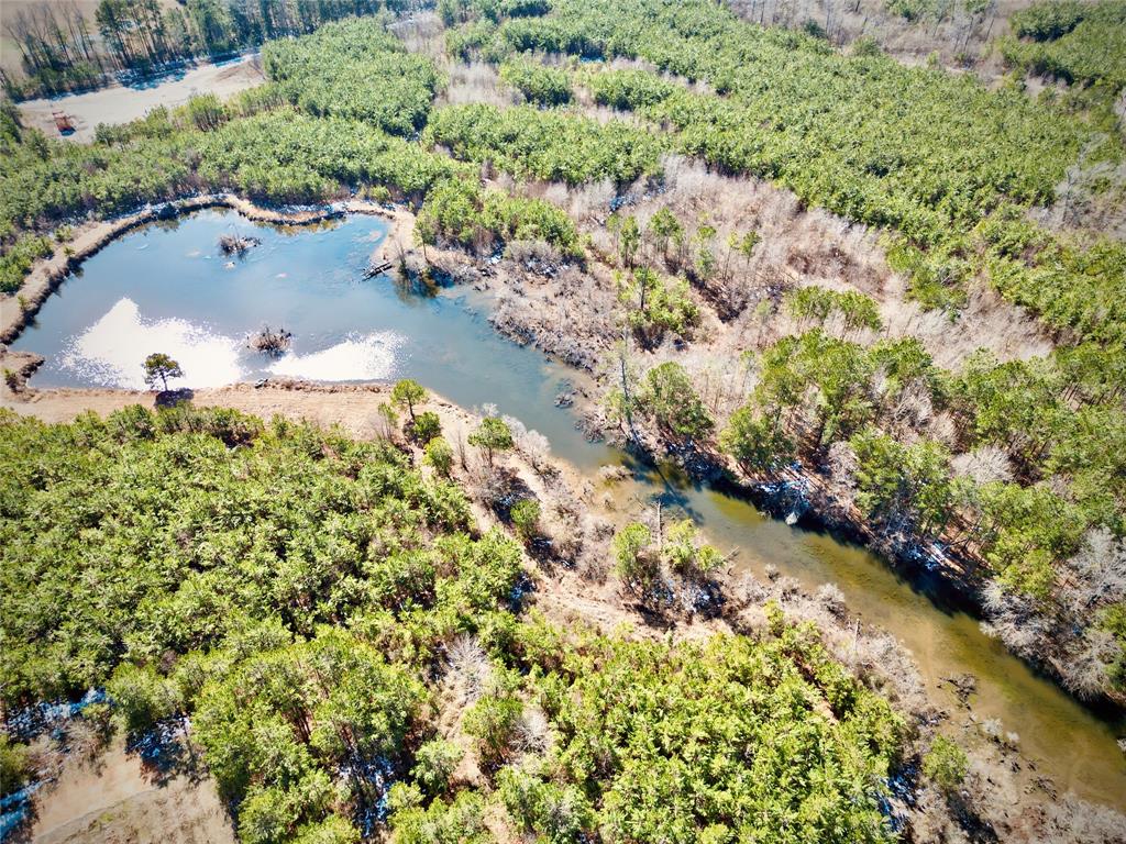 0 Stonewall Frierson Road Property Photo 20