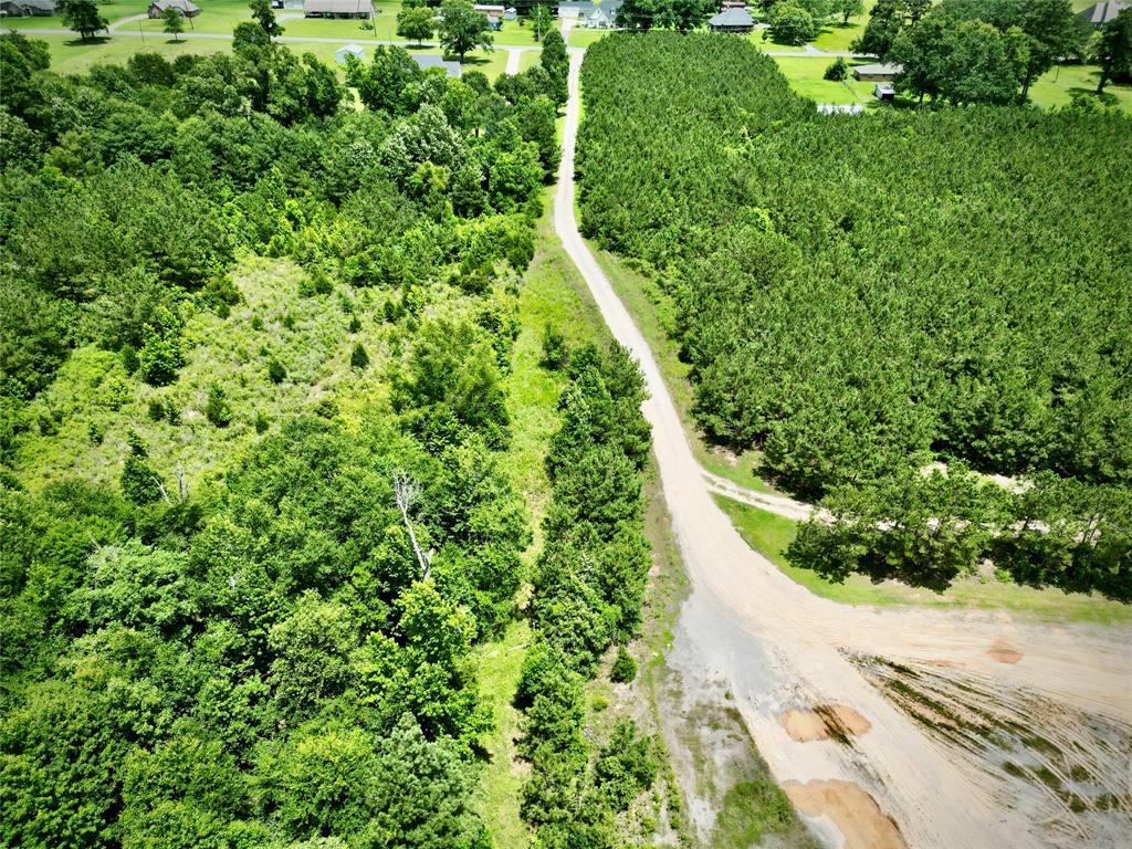 0 Stonewall Frierson Road Property Photo 23