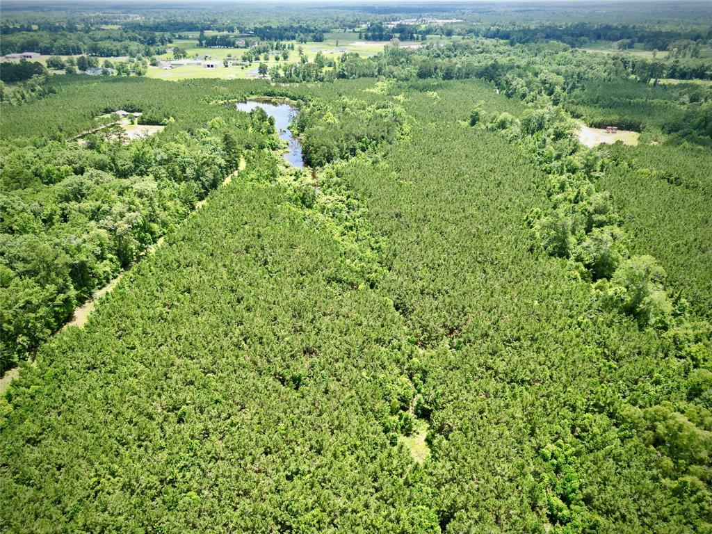 0 Stonewall Frierson Road Property Photo 27