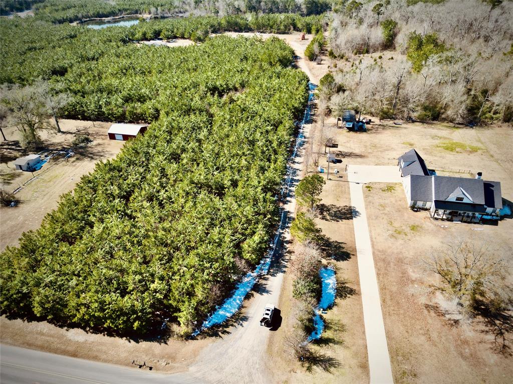 0 Stonewall Frierson Road Property Photo 31