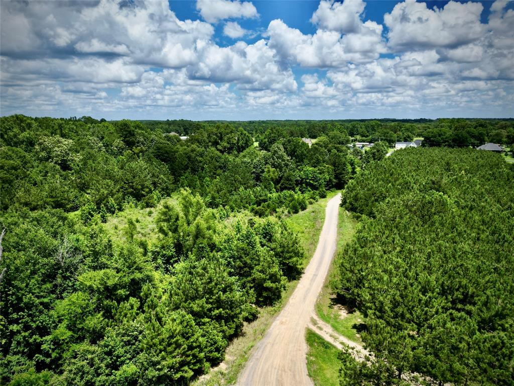 0 Stonewall Frierson Road Property Photo 32