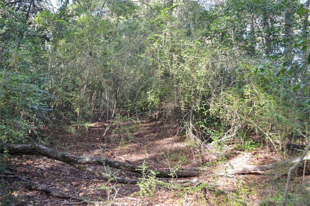 Tract #2 Long Street Property Photo 10