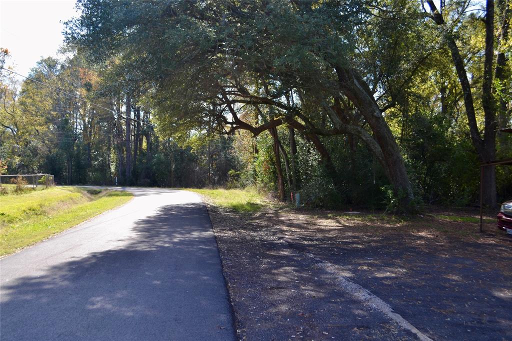 Tract #2 Long Street Property Photo 13