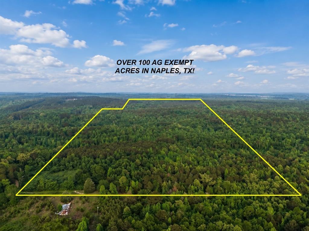 Tbd County Road 2742 Property Photo 1
