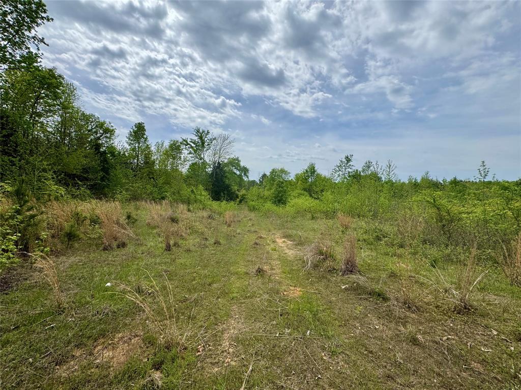 Tbd County Road 2742 Property Photo 4