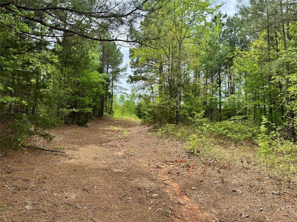 Tbd County Road 2742 Property Photo 5