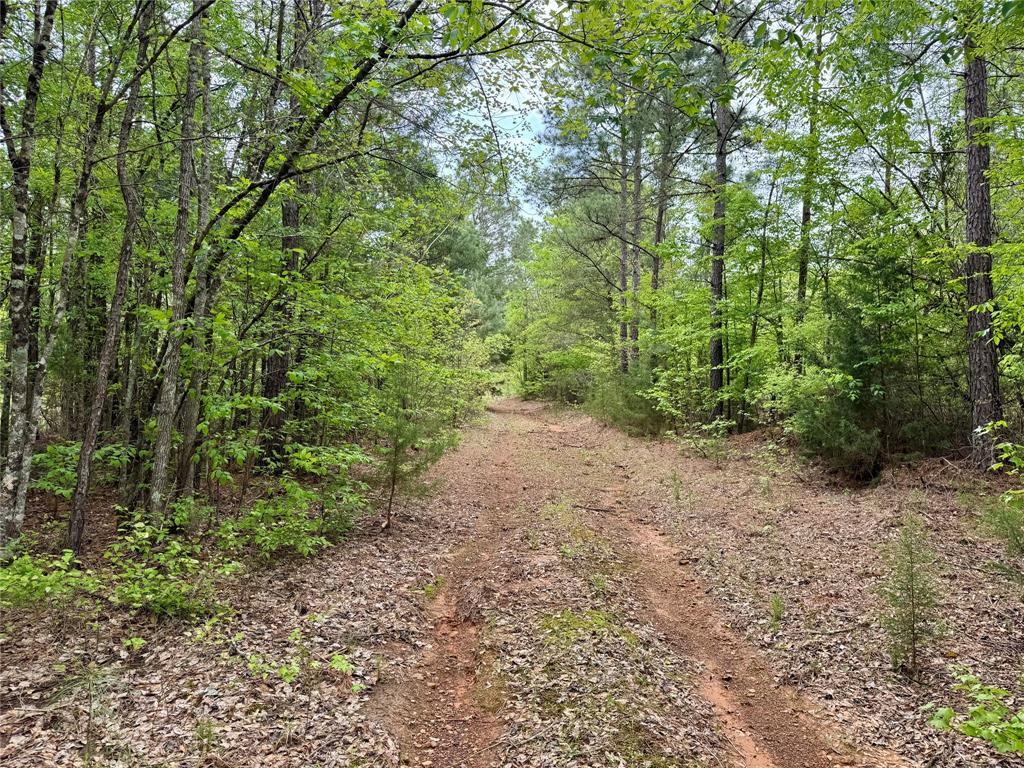 Tbd County Road 2742 Property Photo 6