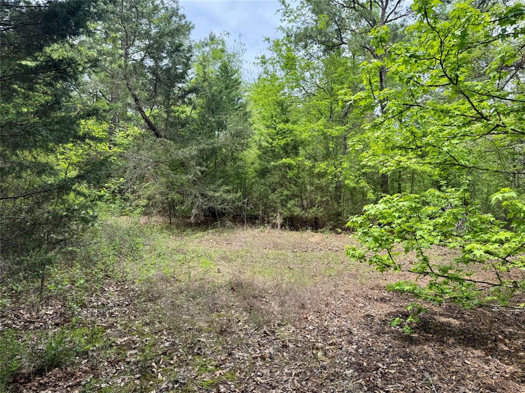 Tbd County Road 2742 Property Photo 10