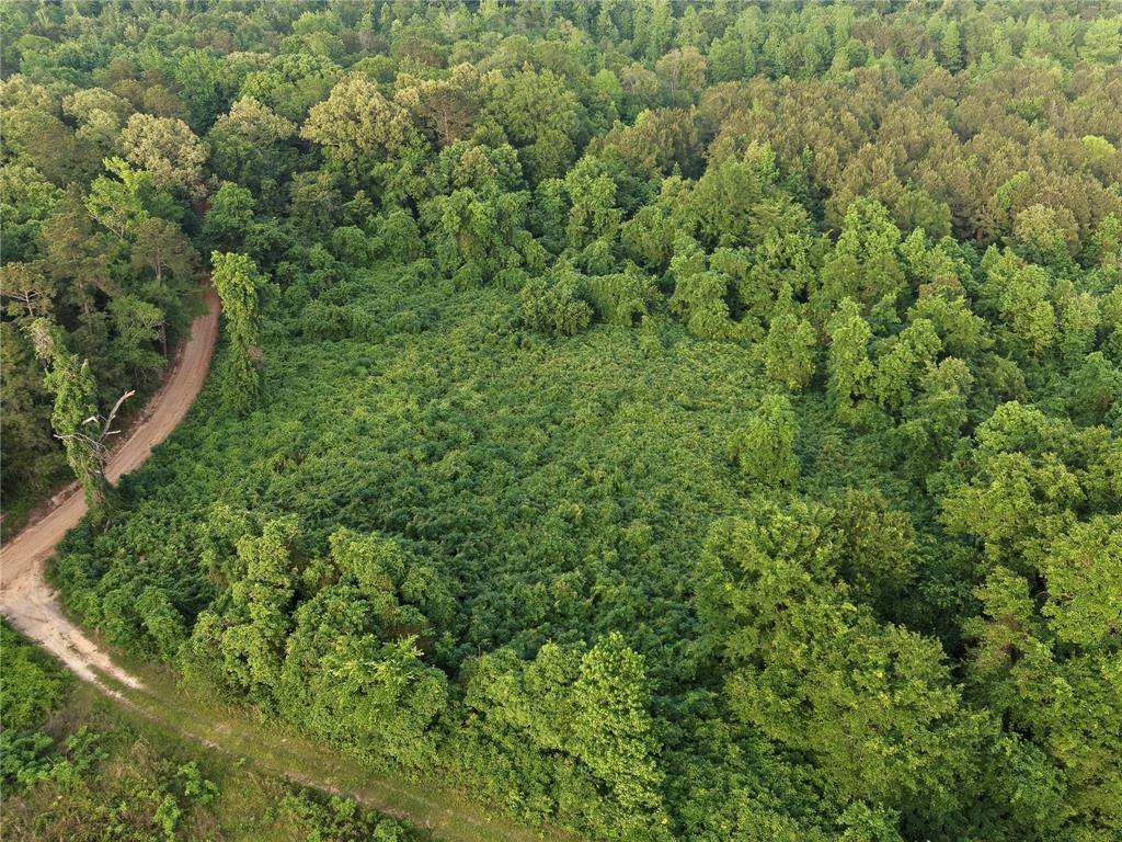 Tbd County Road 2742 Property Photo 15