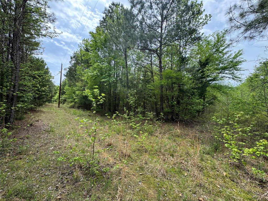 Tbd County Road 2742 Property Photo 16