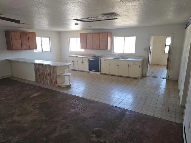 245 E Fm 772 Property Photo 11