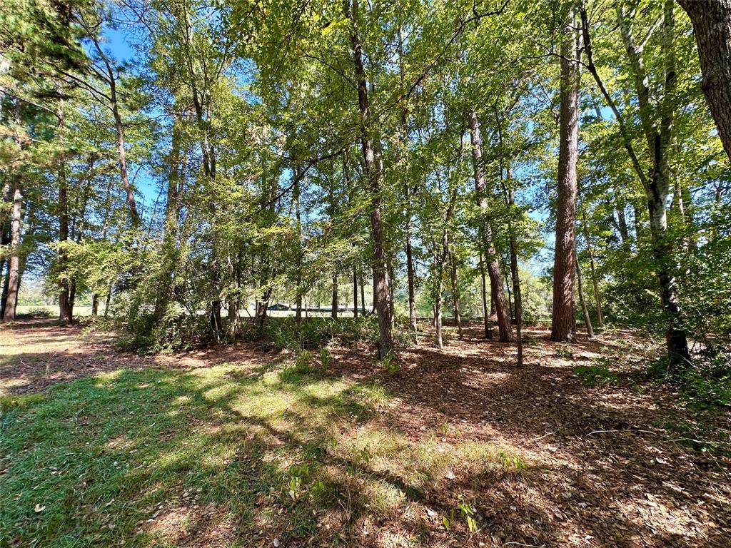 Tbd Holly Trail Property Photo 4