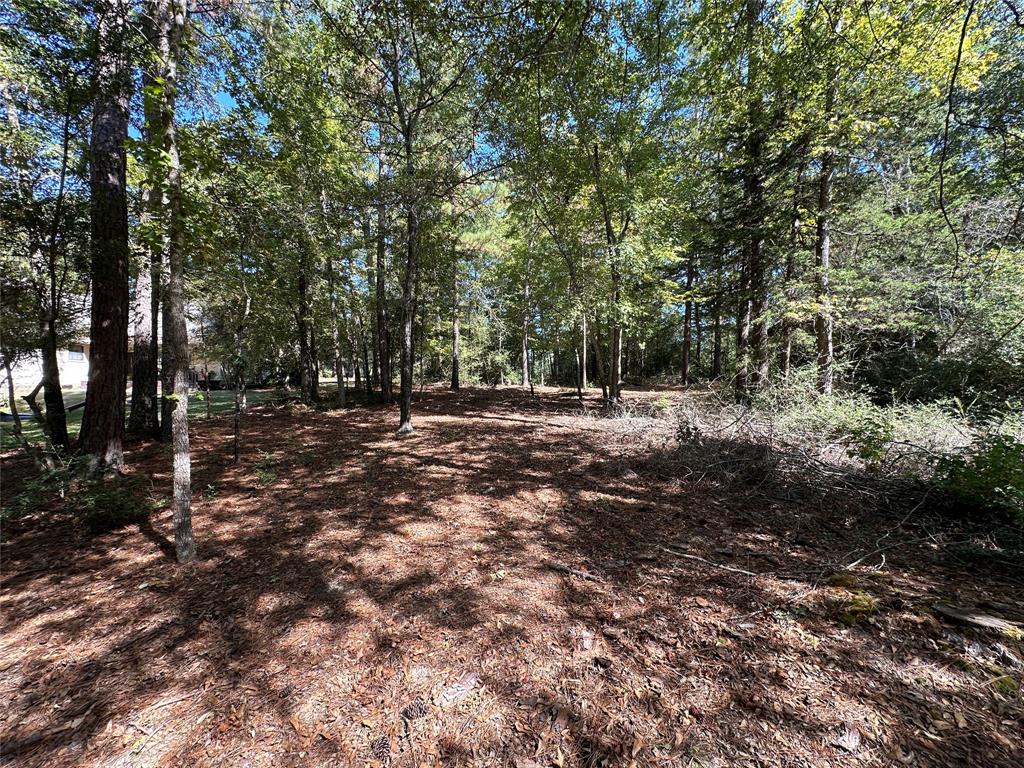 Tbd Holly Trail Property Photo 5