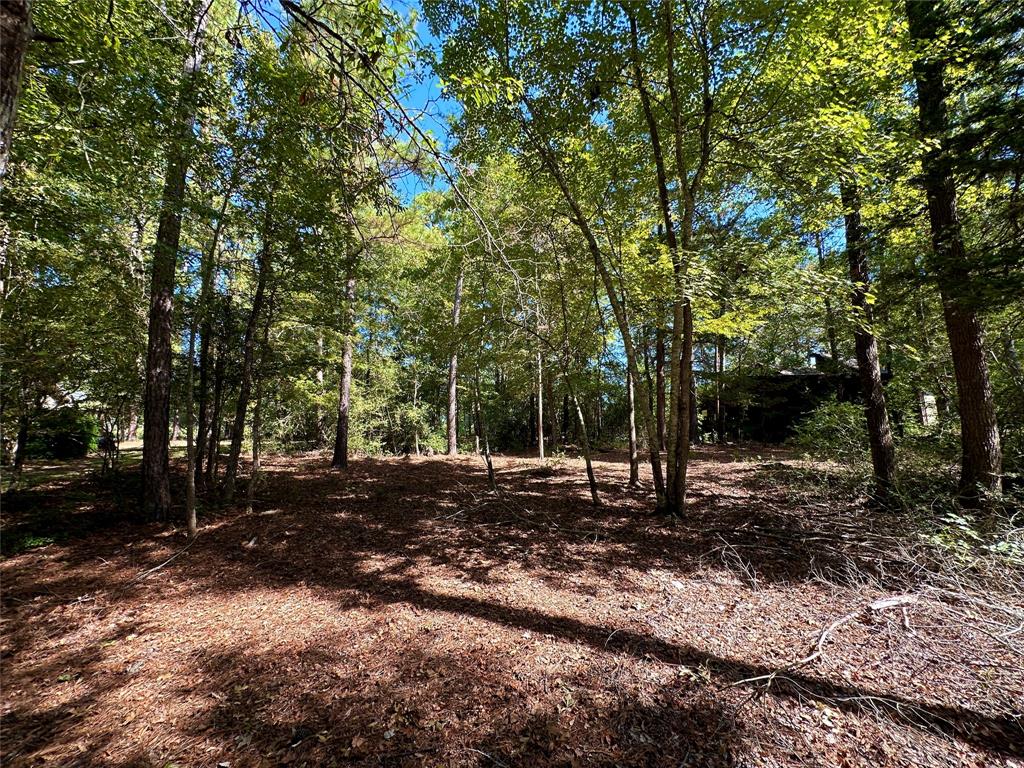 Tbd Holly Trail Property Photo 7