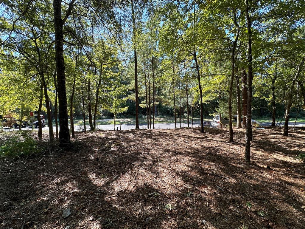 Tbd Holly Trail Property Photo 8