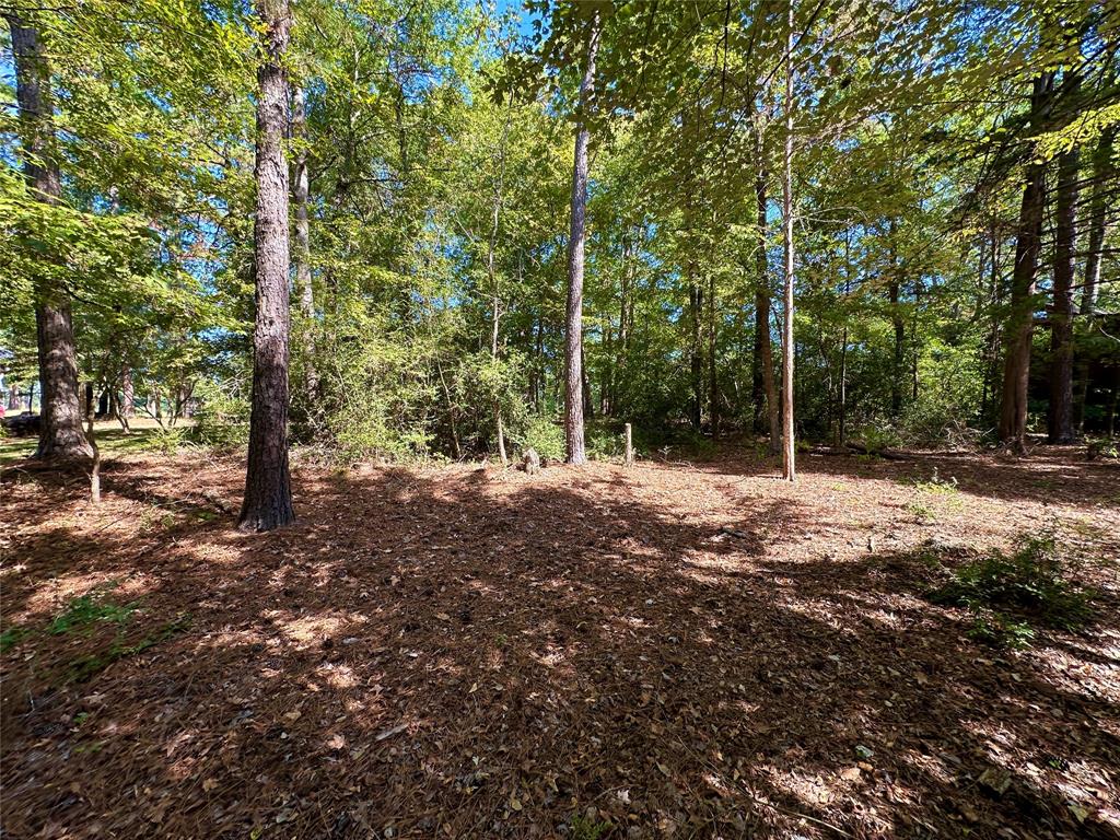 Tbd Holly Trail Property Photo 9