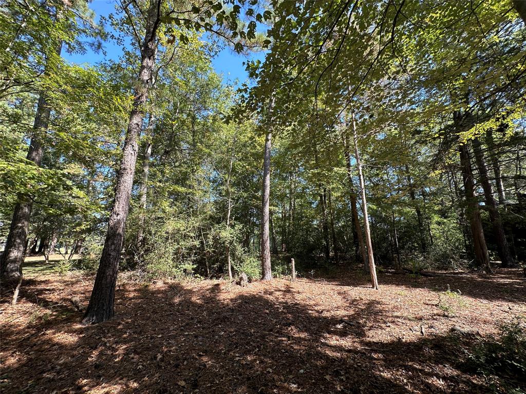 Tbd Holly Trail Property Photo 10