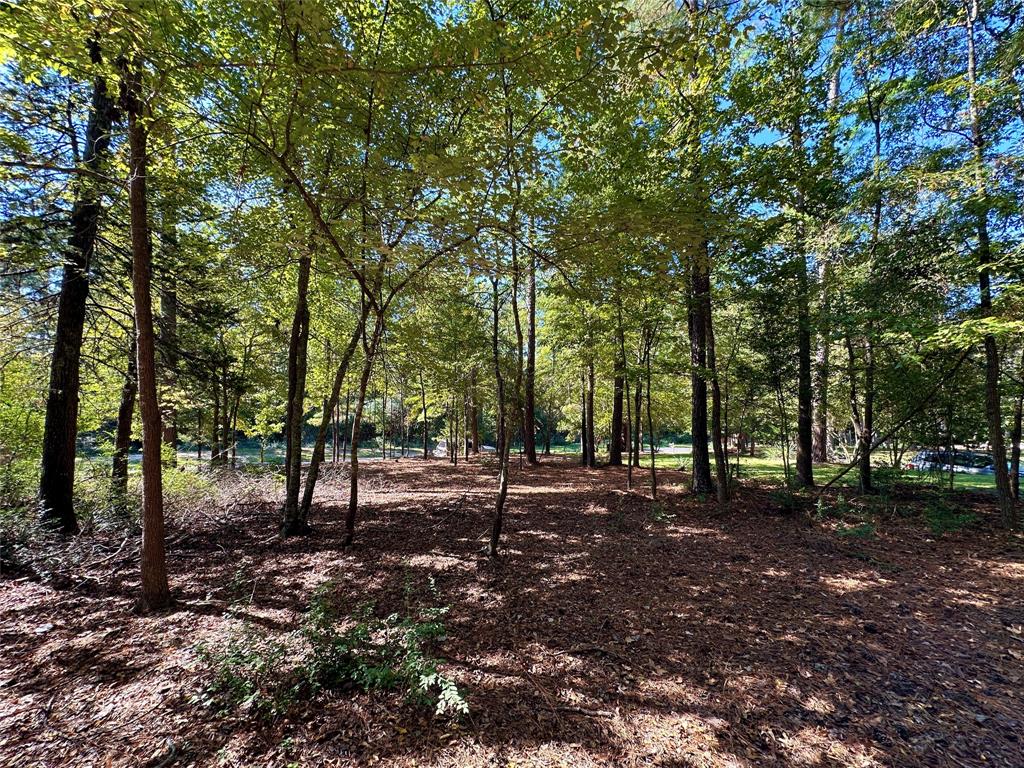 Tbd Holly Trail Property Photo 11