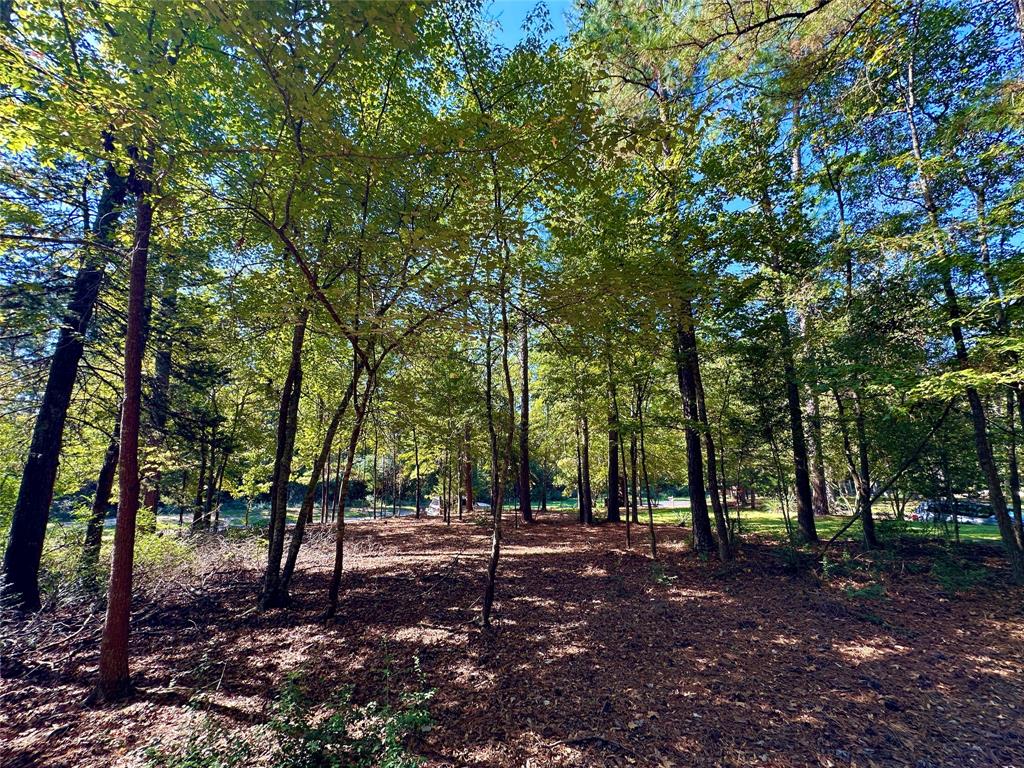 Tbd Holly Trail Property Photo 12