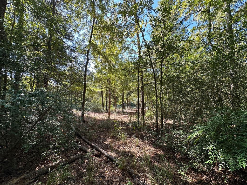 Tbd Holly Trail Property Photo 13