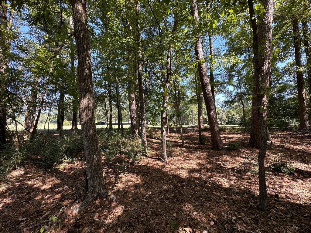 Tbd Holly Trail Property Photo 14