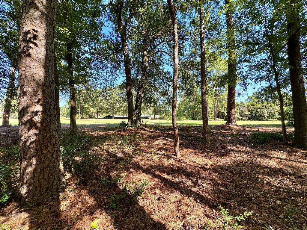 Tbd Holly Trail Property Photo 15