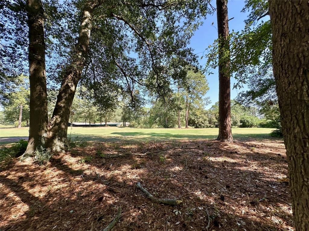 Tbd Holly Trail Property Photo 16