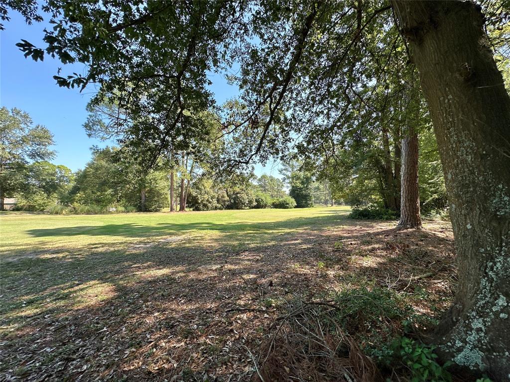 Tbd Holly Trail Property Photo 17