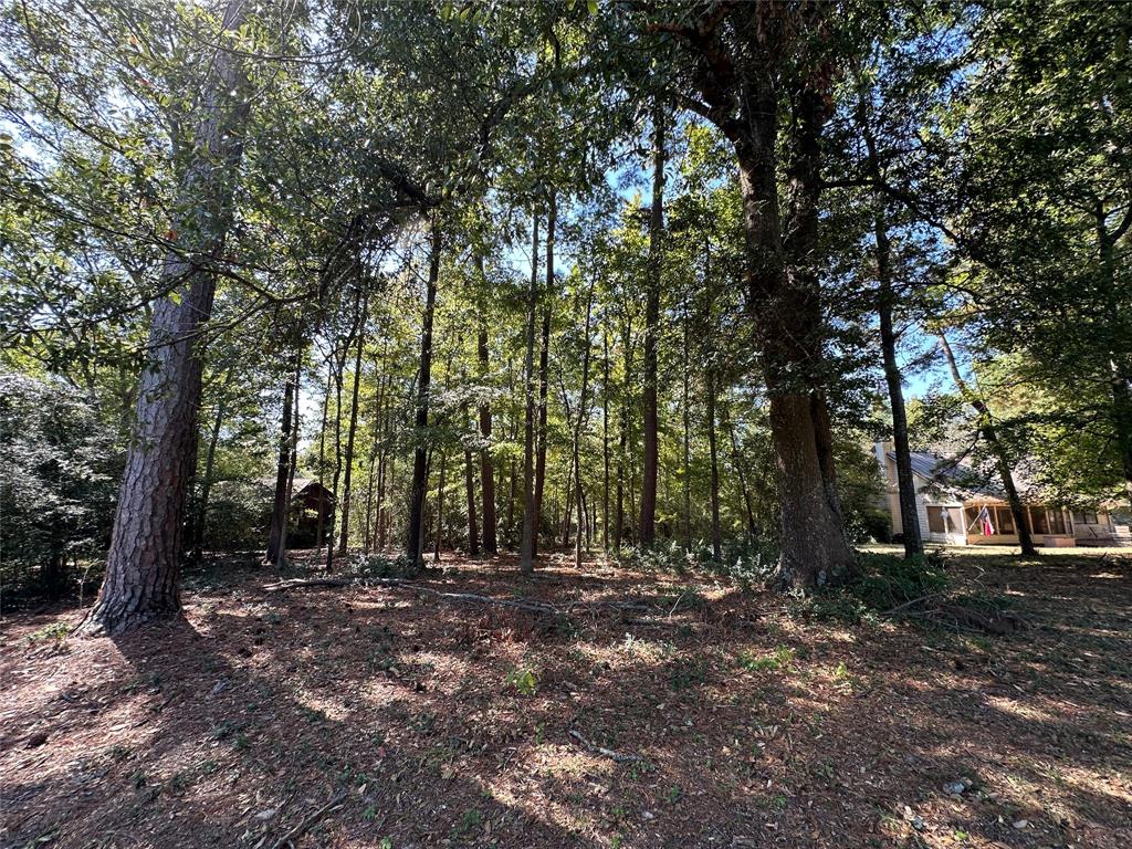 Tbd Holly Trail Property Photo 19