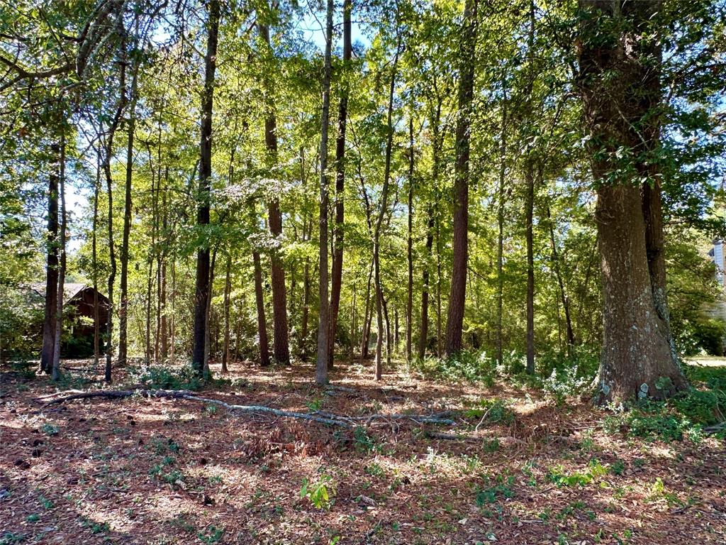 Tbd Holly Trail Property Photo 20