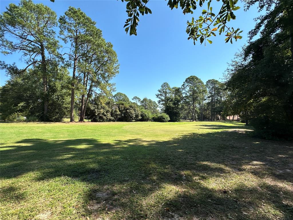 Tbd Holly Trail Property Photo 21